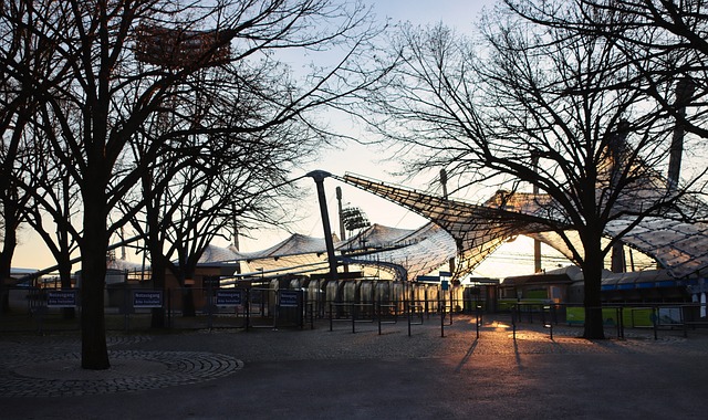 真正的强者 真正的强者