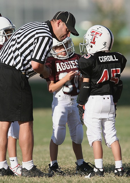 景和自然景 景和自然景